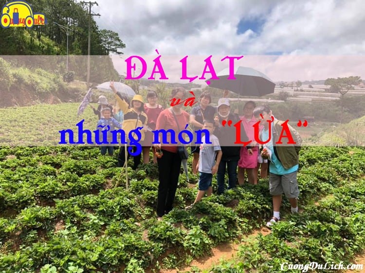 kinh-nghiem-di-du-lich-da-lat-khong-bi-lua-cuongdulich-6