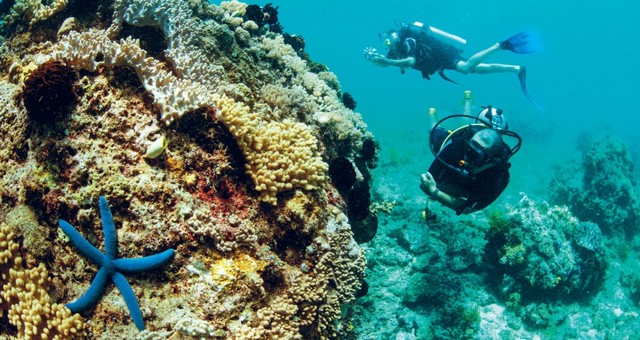dao-bunaken-indonesia00007