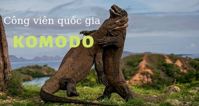 cong vien quoc gia komodo