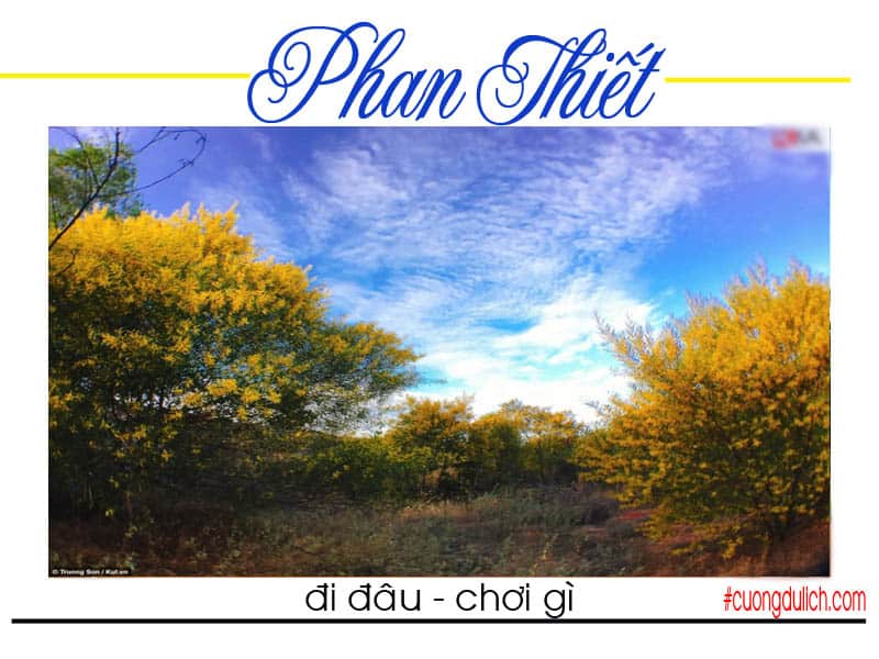rung-hoa-lkeo-la-tram-phan-thiet