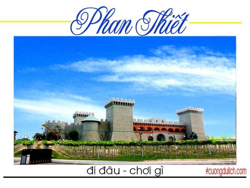 lau-dai-ruou-vang