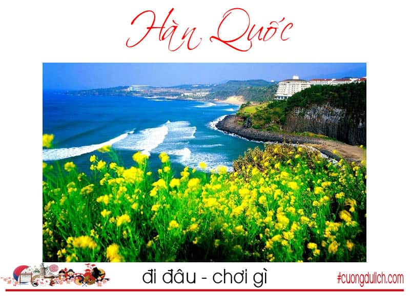 dao-jeju-han-quoc