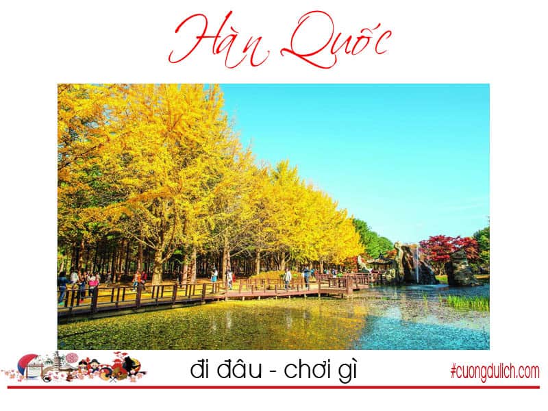 dao-nami-han-quoc