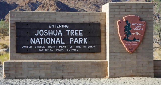 vuon-quoc-gia-joshua-tree00011
