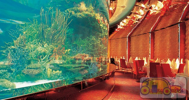 dia-diem-du-lich-dubai-khach-san-burj-al-arab00003