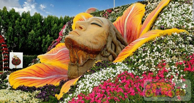 dia-diem-du-lich-dubai-vuon-hoa-dieu-ki00009