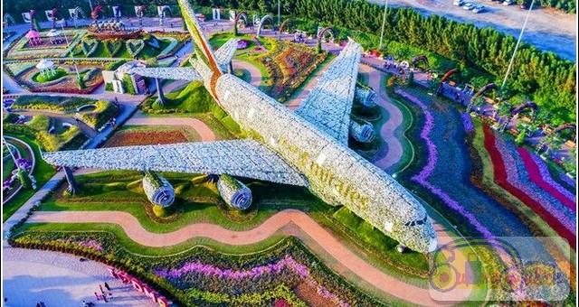 dia-diem-du-lich-dubai-vuon-hoa-dieu-ki00007