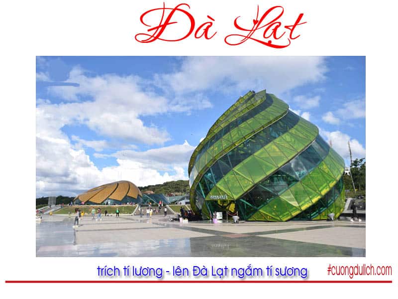 quang-truong-lam-vien-da-lat