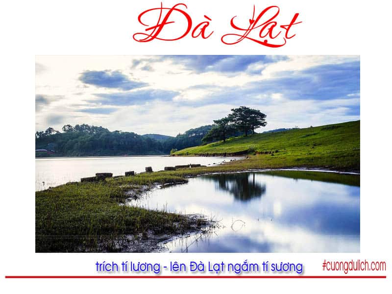 thung-lung-vang