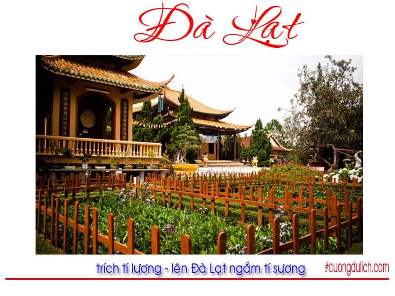 truc-lam-vien-da-lat-tran-le-gia-trang