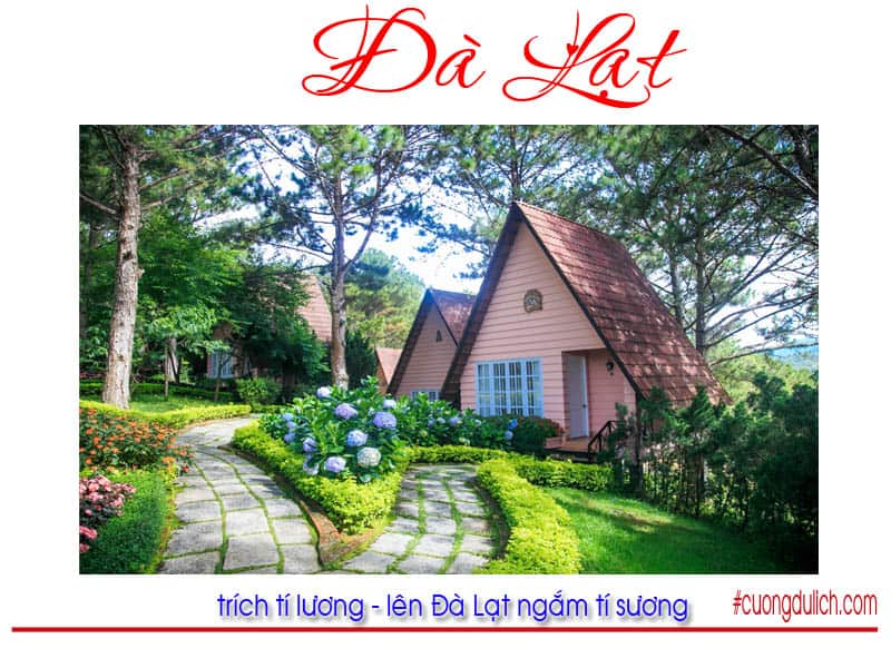 doi-mong-mo-da-lat