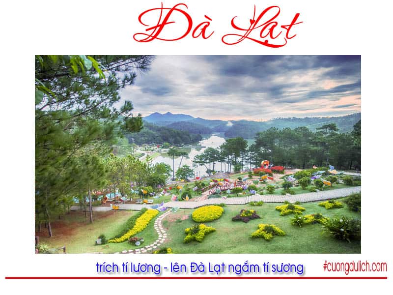 thung-lung-tinh-yeu-da-lat