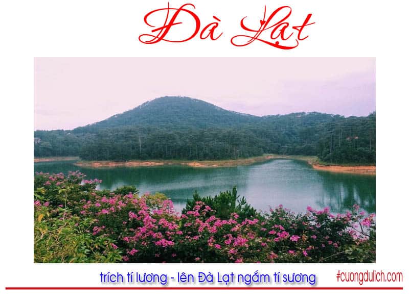ho-tuyen-lam-da-lat