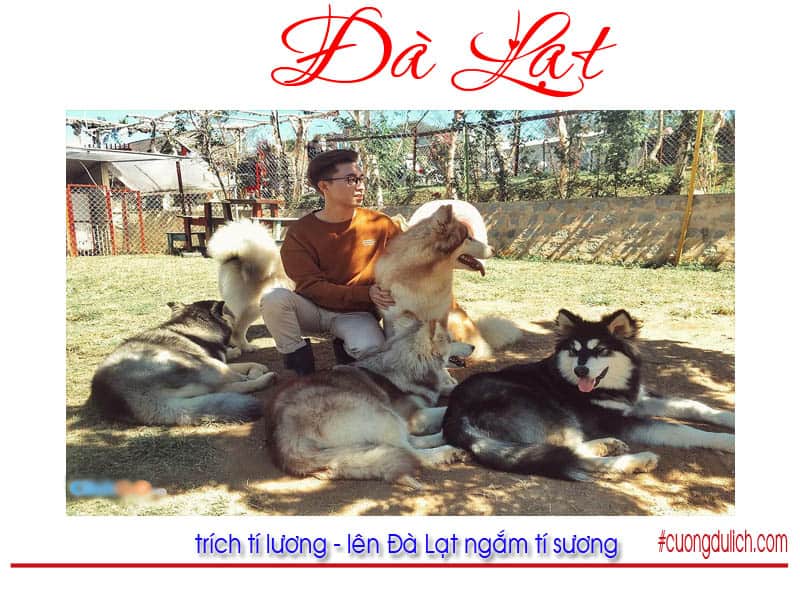 zoo-doo-da-lat