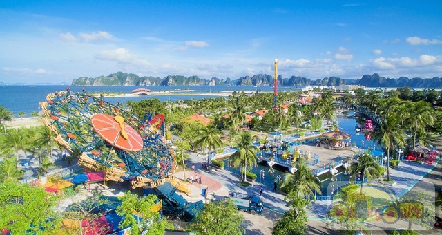 dao-tuan-chau-ha-long100001