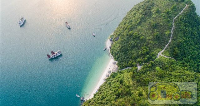 dao-soi-sim-ha-long00003