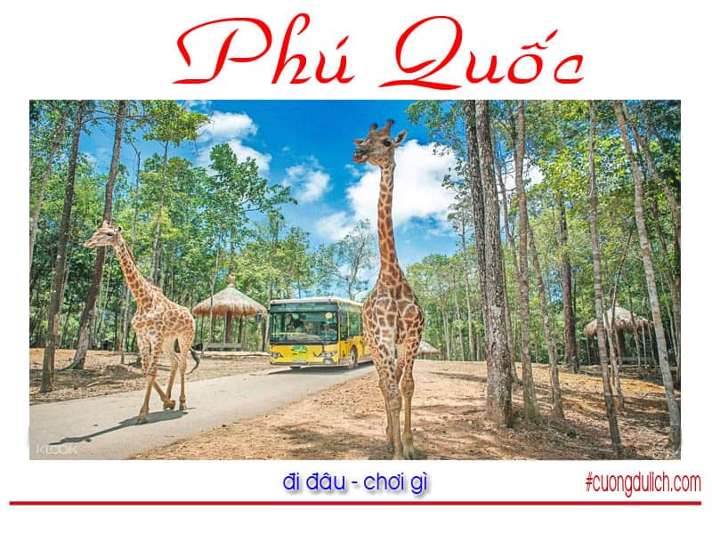 Safari-phu-quoc