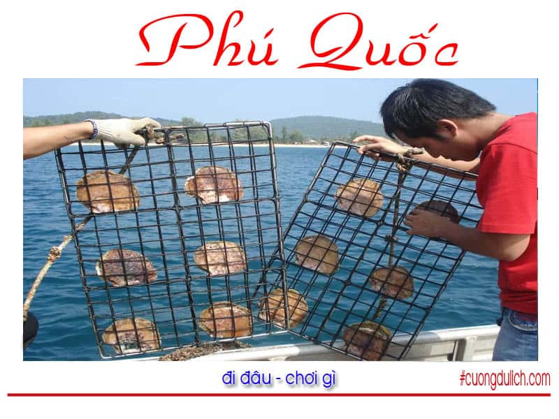 co-so-ngoc-trai-phu-quoc