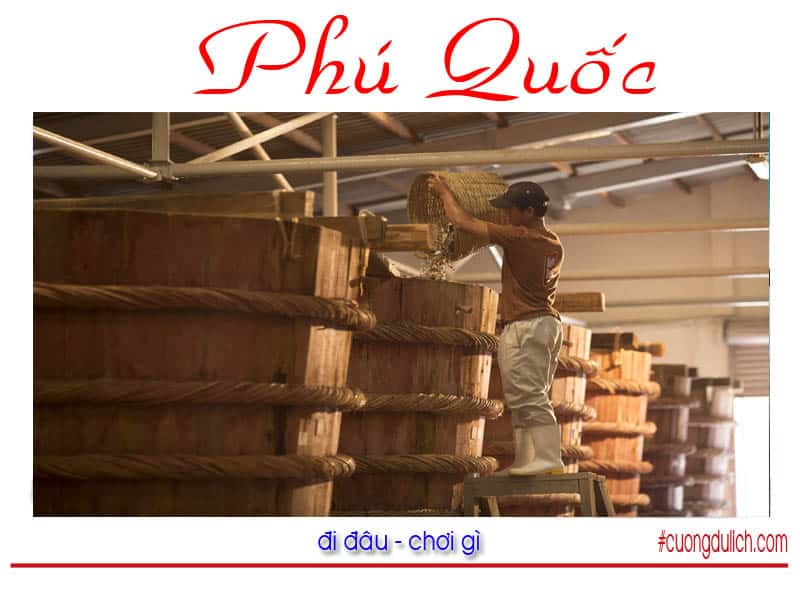 nha-thung-nuoc-mam