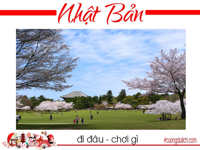 nara