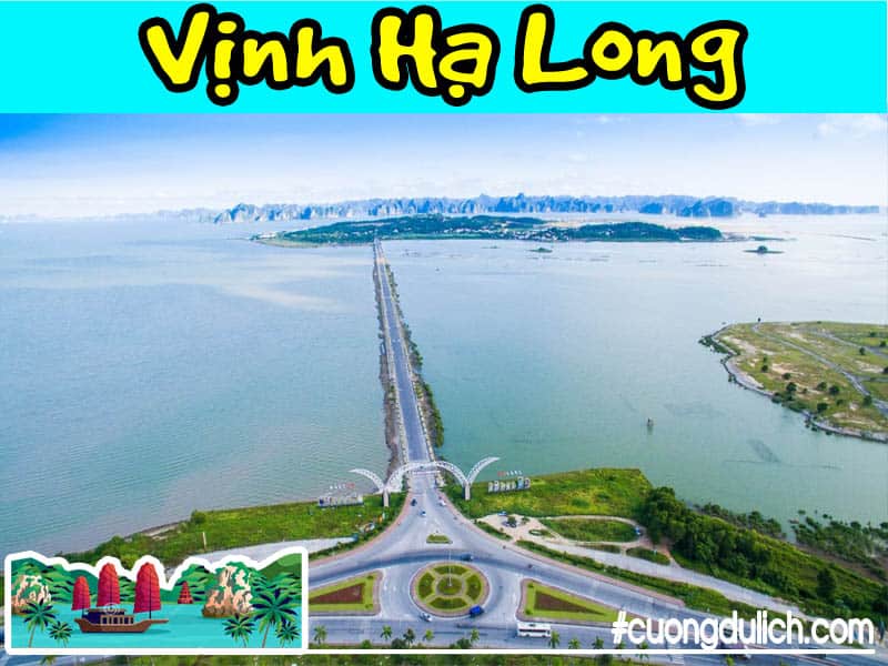dao-tuan-chau-ha-long