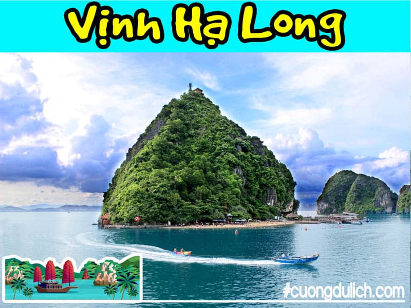 dao-ti-top-ha-long