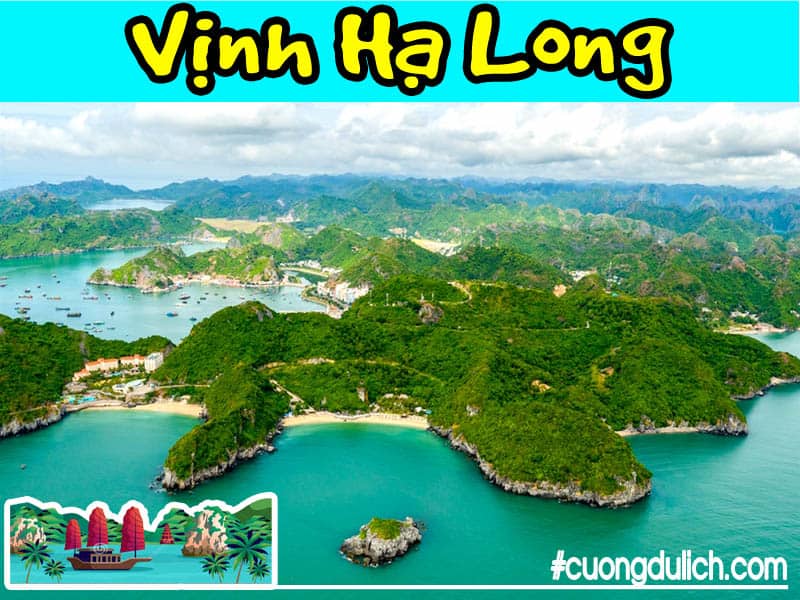 quan-dao-cat-ba-ha-long