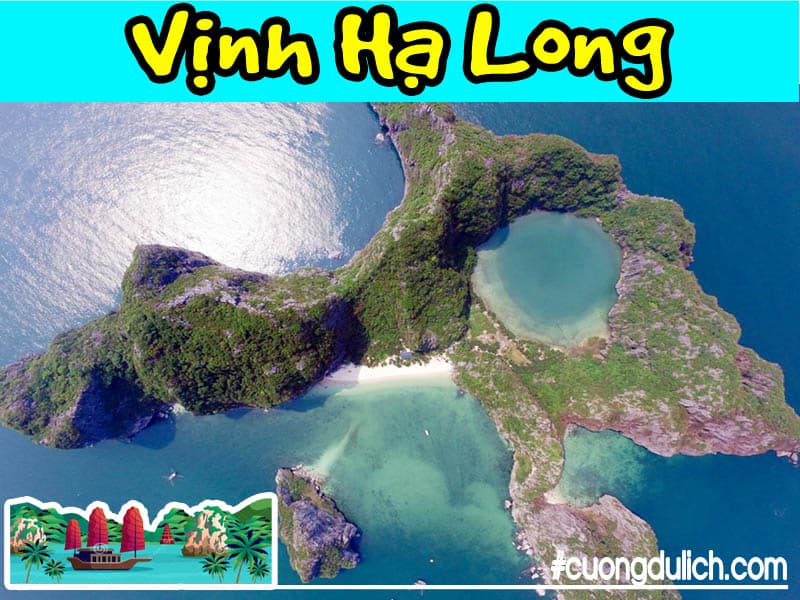 dao-mat-rong-ha-long