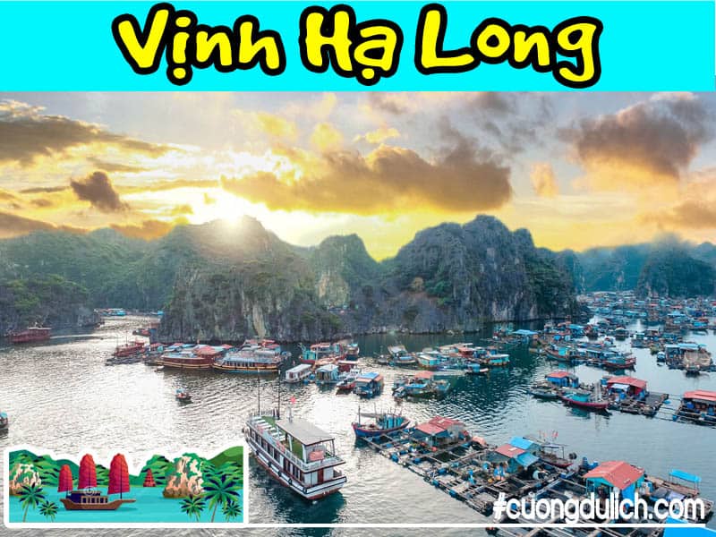 vinh-lan-ha-ha-long