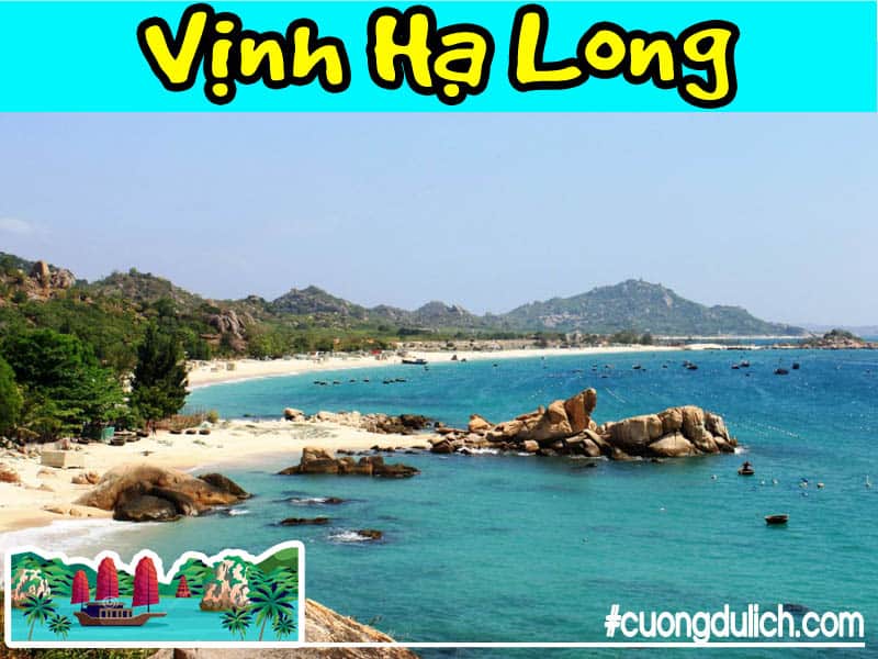 dao-quan-lan-ha-long