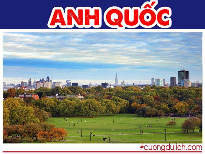 primrose-anh-quoc
