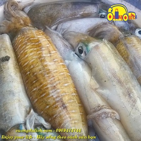 tour-du-lich-nha-trang-3-ngay-2-dem-gia-re00165
