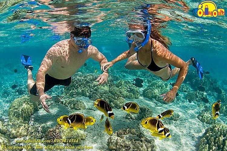 tour-phu-quoc-4-ngay-3-dem00017