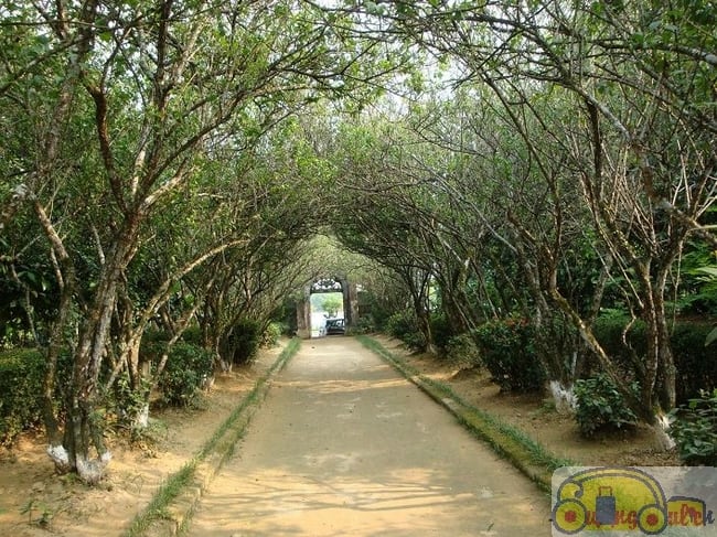 top-10-dia-diem-du-lich-hue-nhat-dnh-phai-di00046