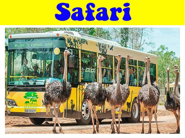review-vuon-thu-safari-phu-quoc-chi-tiet-a-z-cuong-du-lich-com (8)