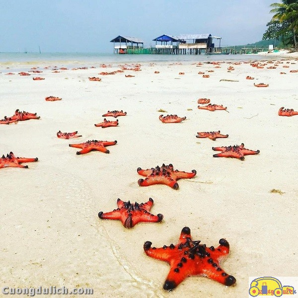 kinh-nghiem-du-lich-bai-sao-phu-quoc00006 kinh-nghiem-du-lich-bai-sao-phu-quoc00006