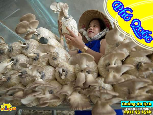 Tong-hop-35-dia-diem-du-lich-hot-nhat-phu-quoc-video-quay-thuc-te (28) Tong-hop-35-dia-diem-du-lich-hot-nhat-phu-quoc-video-quay-thuc-te (28)