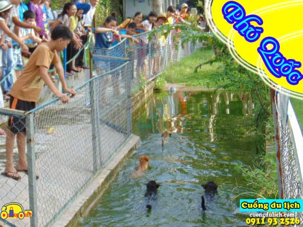 Tong-hop-35-dia-diem-du-lich-hot-nhat-phu-quoc-video-quay-thuc-te (1)