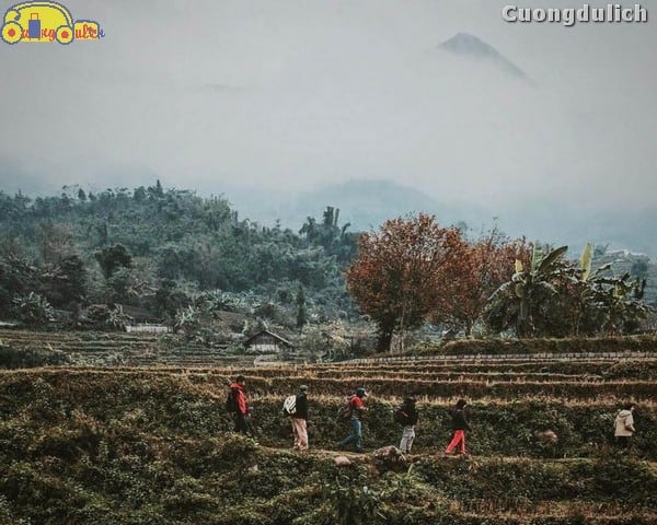 sapa-tavan_9