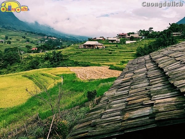 sapa-tavan_3