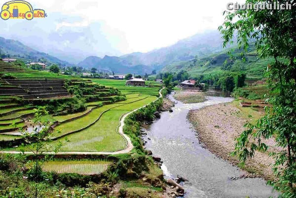 sapa-tavan_5