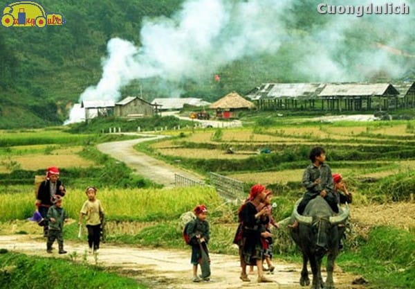 sapa-tavan_2