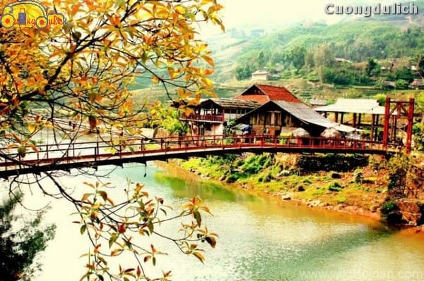 sapa-tavan_10