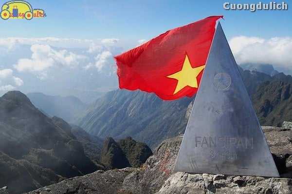 sapa_3
