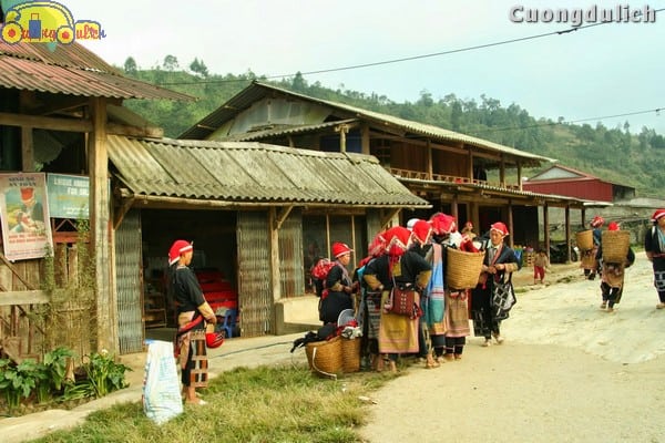 sapa_5