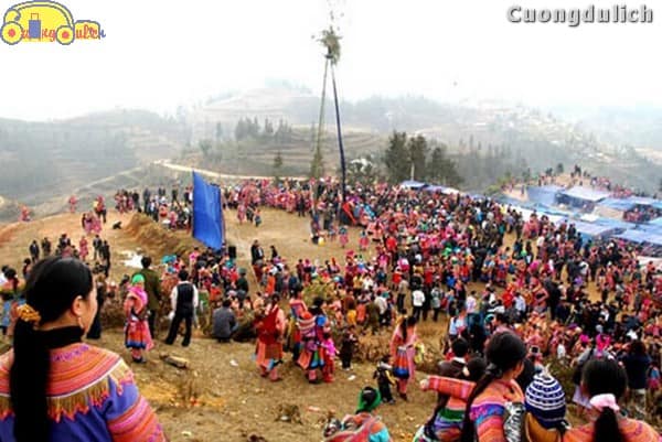 sapa_9
