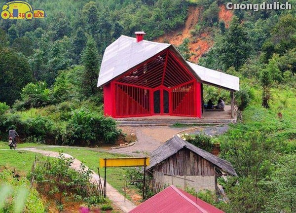 sapa_8