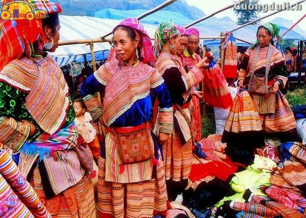 sapa_19