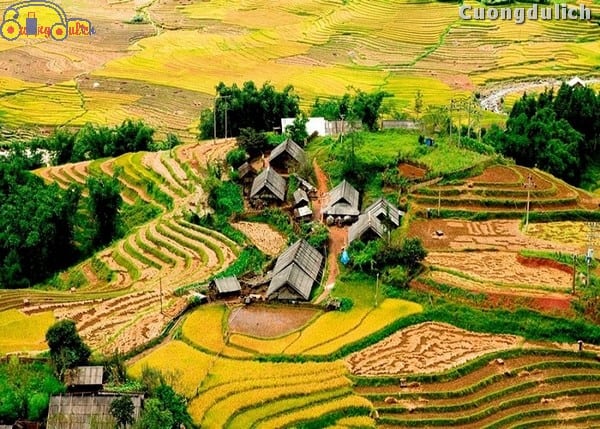 sapa_11
