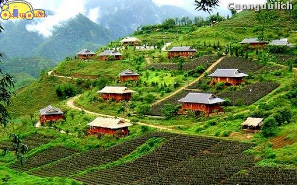 sapa_18